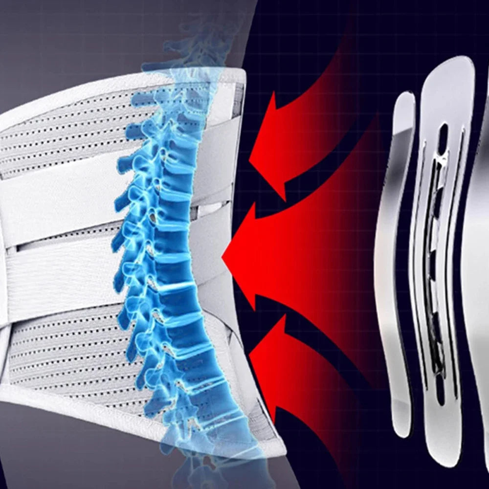 NONEDropshipping Back Brace For Lower Back Pain Relief With Lumbar Pad
