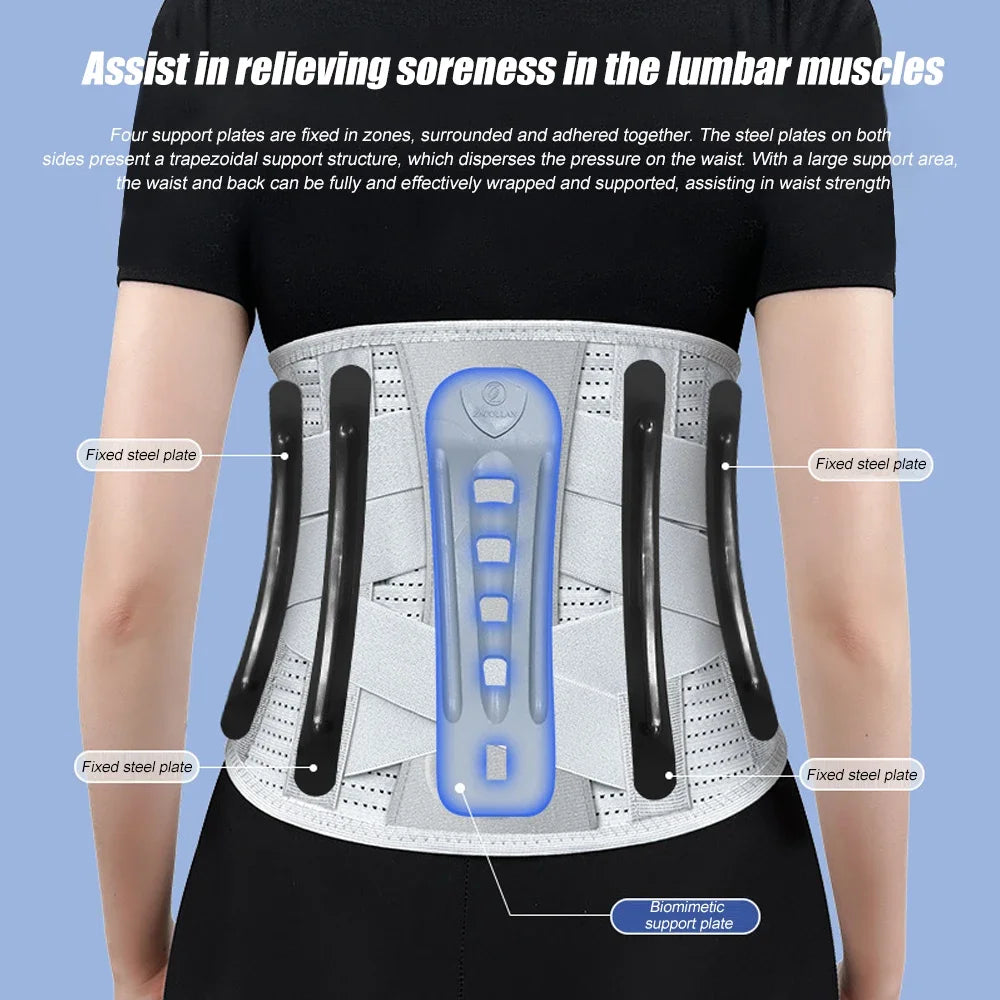 NONEDropshipping Back Brace For Lower Back Pain Relief With Lumbar Pad